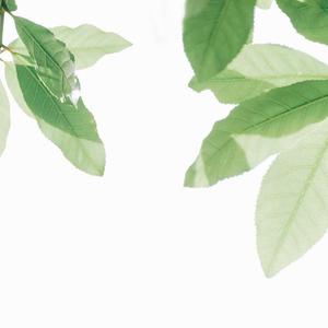 压在墙上酱酱酿酿的叫什么视频
